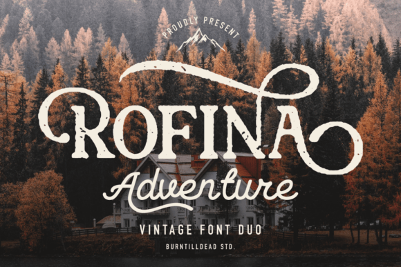 Evaluating Rofina: The Practical Balance of Serif and Script
