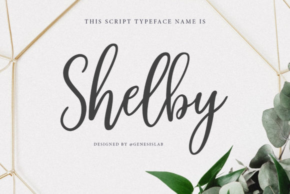 Shelby Script: A Modern Classic for Creative Projects